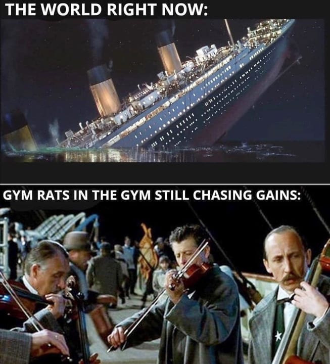 Gym rats in the gym