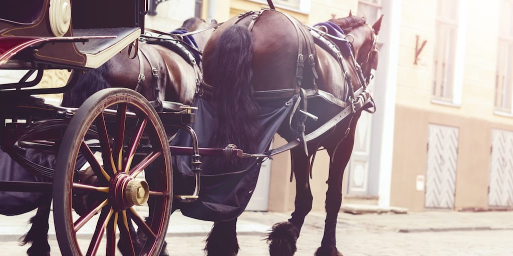 Heartbreaking video captures a stumbling Central Park carriage horse collapsing on the street
