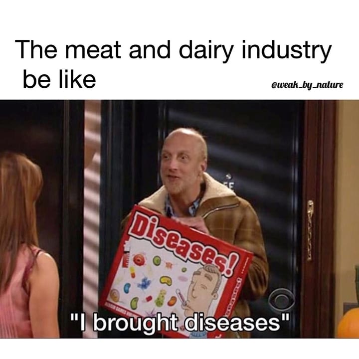 I brought diseases