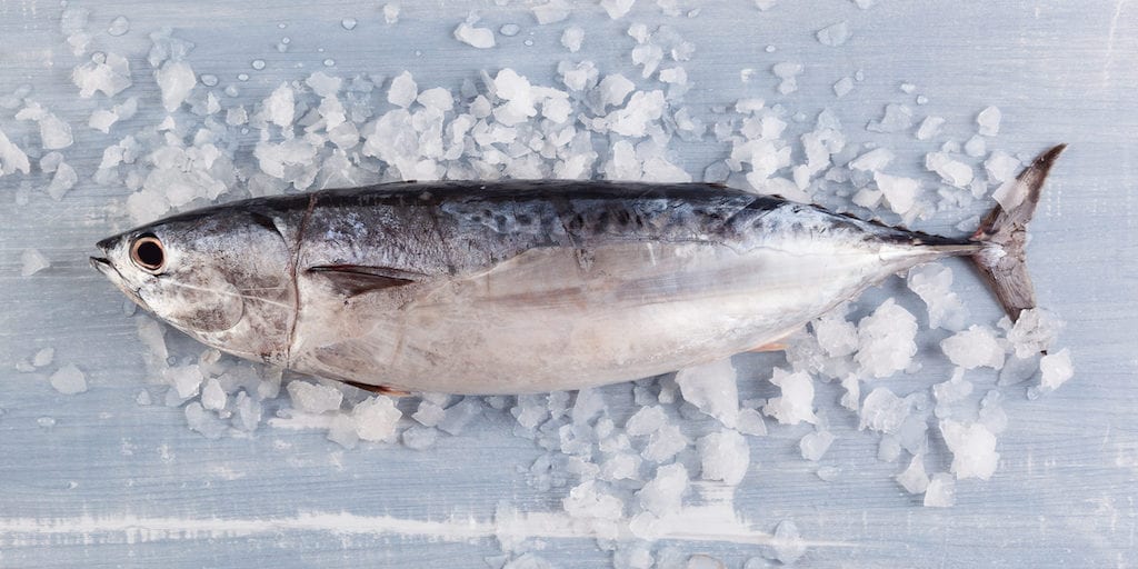Seafood now contains 283% more parasites
