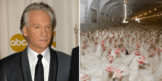 Bill Maher slams factory farms calling them 'as despicable as wet markets'