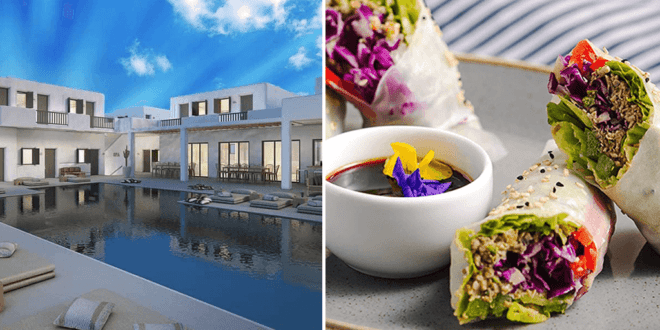 Greece to open its first fully vegan hotel in Mykonos this summer