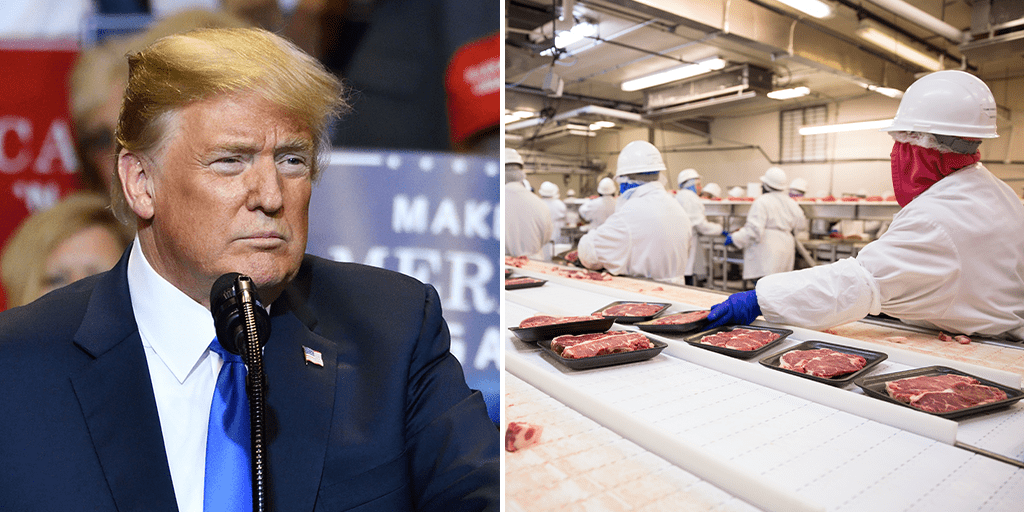 Trump orders meat plants to stay open exposing workers to COVID-19