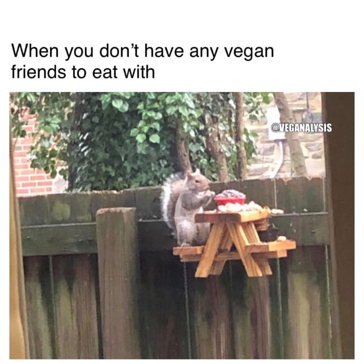 When you don't have any vegan friends to eat with