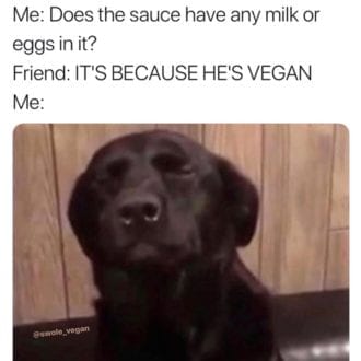 cause hes vegan
