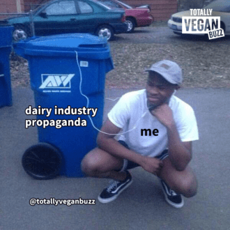 dairy industry