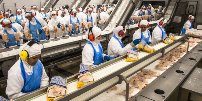 meat workers as plants continue to operate despite COVID-19 spread