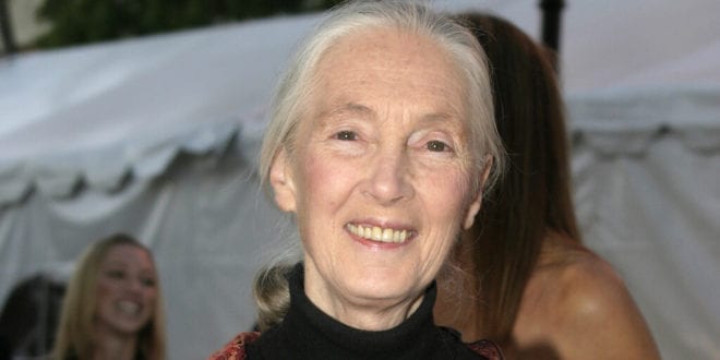 Jane Goodall warns humanity is finished