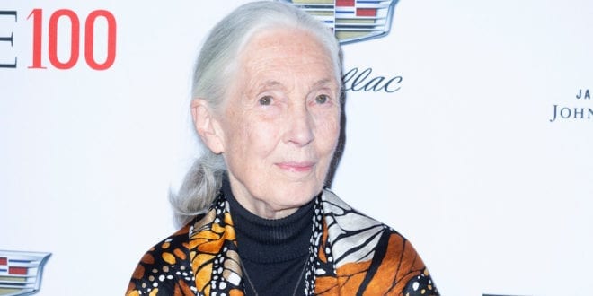 Jane Goodall warns 'humanity is finished'