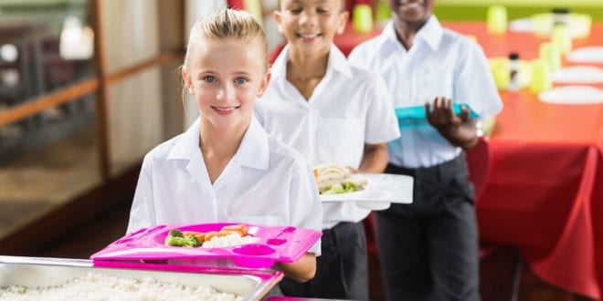 UK government urged to take meat dairy off school menus