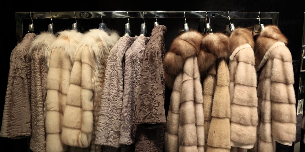 Top UK fashion designers call on Boris Johnson to ban fur sales | Totally  Vegan Buzz
