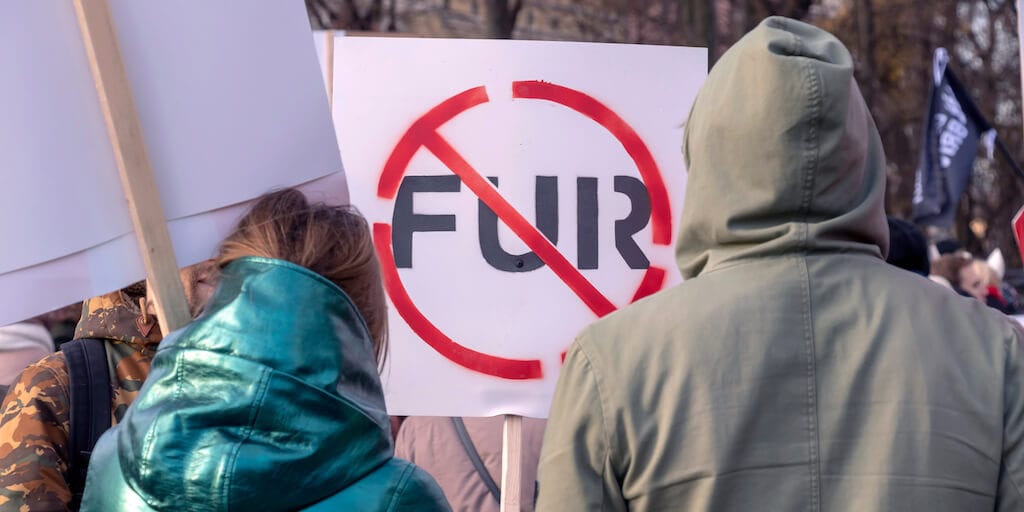 New poll shows over 80% Brits in favour of imported animal fur ban