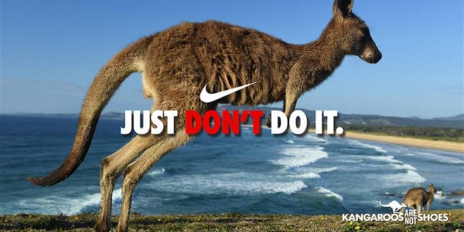Nike, Dick’s Sporting Goods, and other retailers caught selling banned kangaroo skins in California