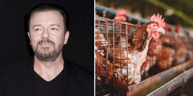 Ricky Gervais calls on UK government to ban 'cruel' and 'inhumane' factory farming