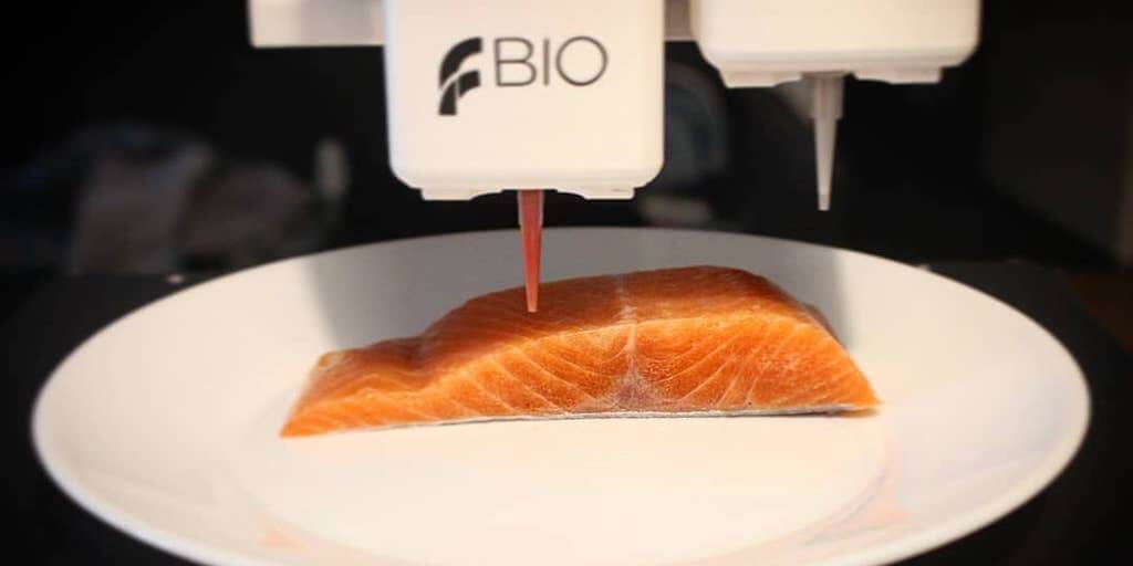 Students create 3D-printed vegan salmon to drive sustainability in the seafood industry