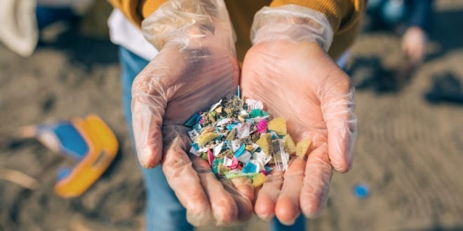 New study shows toxic microplastic deposition in all major human organs