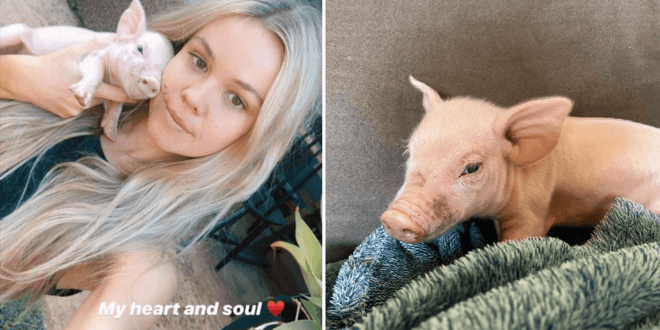 Vegan model activist to plead guilty for allegedly stealing pigs in animal rights protest