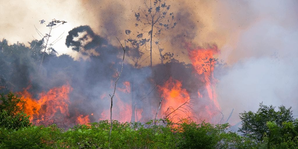 Brazil's Amazon is up in flames again with more than 29,307 fires recorded in August