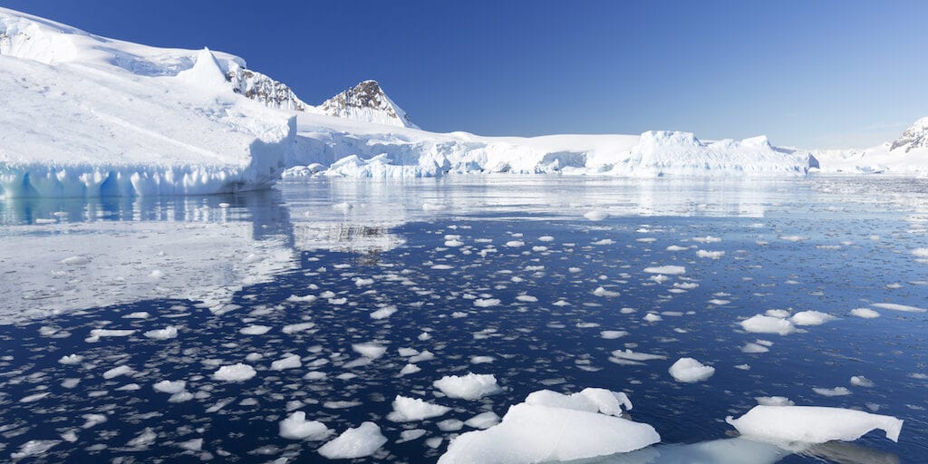 Scientists warn of 'frightening milestone' as Arctic sea ice yet to freeze