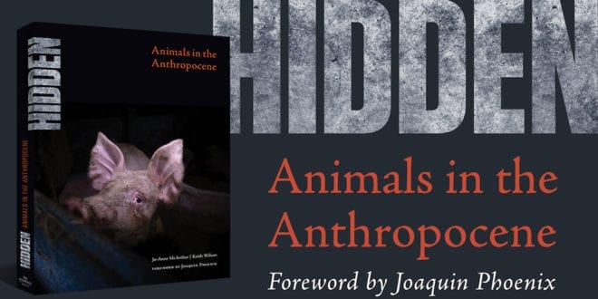 Joaquin Phoenix pens forward for book exposing our ‘unpardonable behavior towards animals’