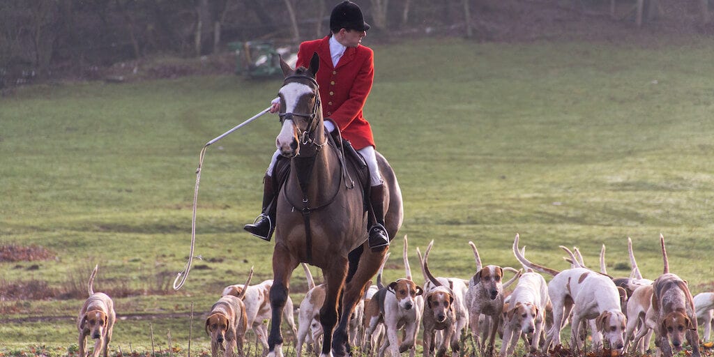 Boxing Day hunts go ahead despite stringent COVID restrictions in the UK