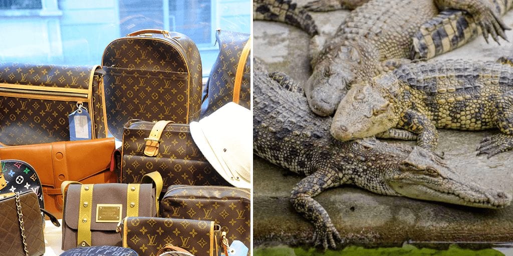 PETA blasts Louis Vuitton over animal claims