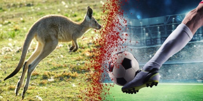 New one minute film exposes Nike’s role in kangaroo mass slaughter