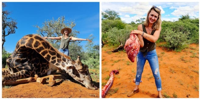 Trophy hunter kills rare giraffe and cuts out its heart as a valentine’s present