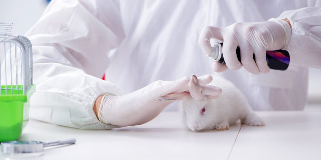 China to ditch animal testing on most imported cosmetics this May
