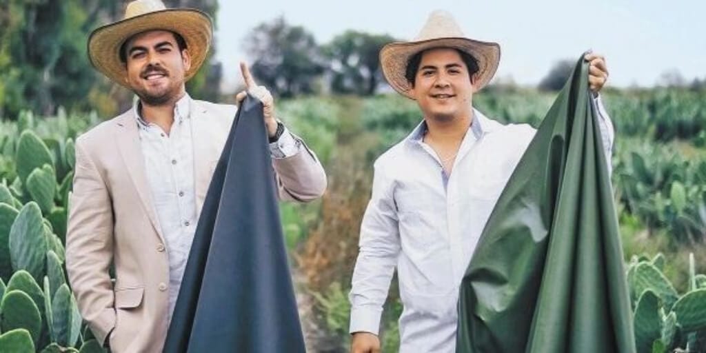 Vegan cactus leather company wins popular award after teaming up with H&M