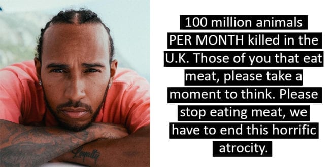 Lewis Hamilton urges 21.8 million Instagram followers to ‘please stop eating meat’