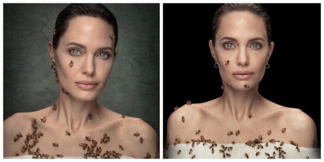 Angelina Jolie poses covered in bees to raise pollinator conservation awareness