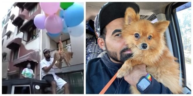 YouTuber makes pet dog fly using helium balloons, gets arrested for animal cruelty.