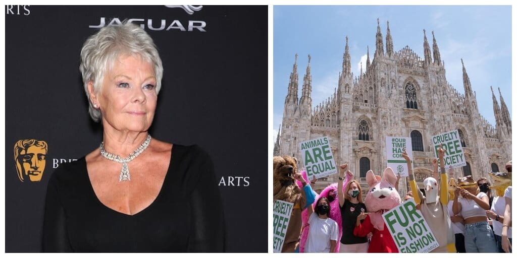 Dame Judi Dench, Nathalie Emmanuel, and more celebs join Stella McCartney’s anti-fur campaign