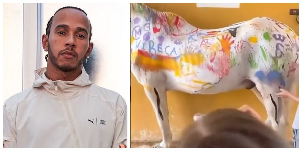 Lewis Hamilton calls out Spanish equestrian centre for ‘horse painting’ classes