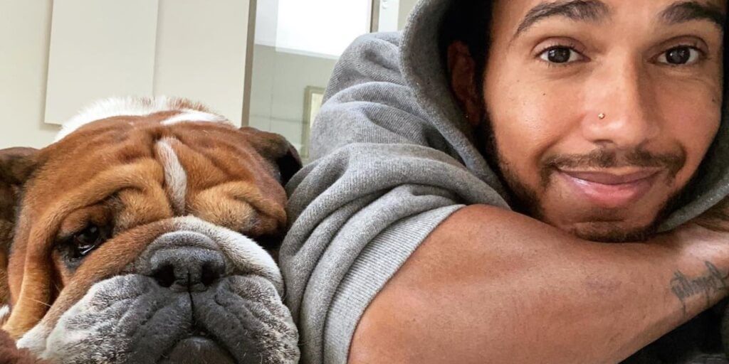 Lewis Hamilton blasted for flaunting dog's vegan diet - while on a private jet