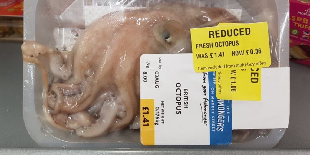 Morrisons selling octopus for just 36p in UK store sparks outrage
