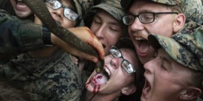 US marines ditch crude animal killing 'Gold Cobra' drills following activist pressure