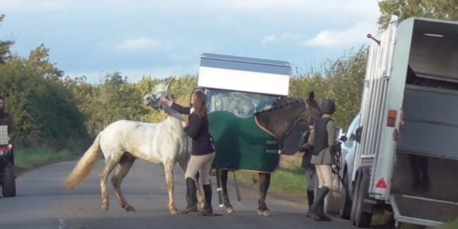 Teacher after filmed kicking and punching a horse ‘goes into hiding’