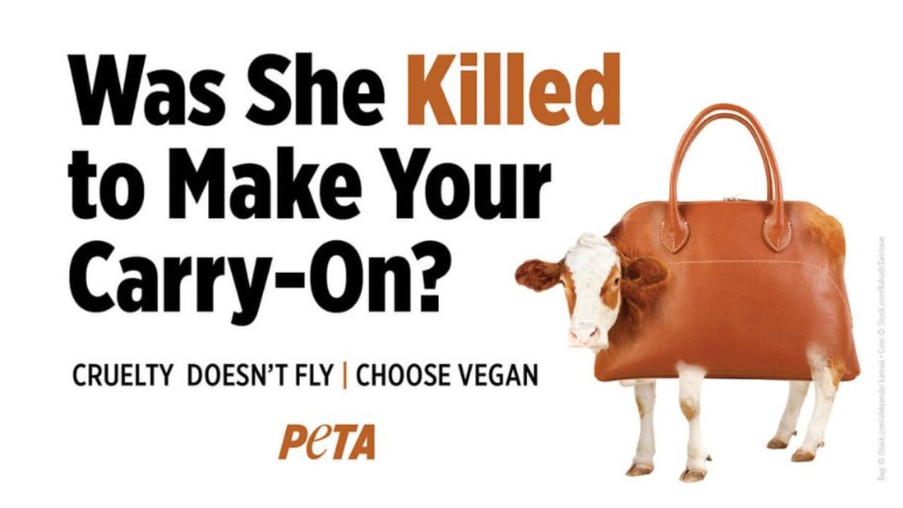 British airports reject anti-animal cruelty ad as it is 'prejudicial to a  business carried on at the airport' | Totally Vegan Buzz