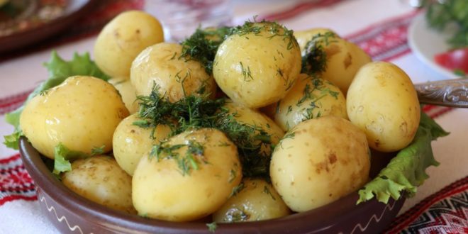 New study shows that potatoes can be as good as animal milk for building muscle