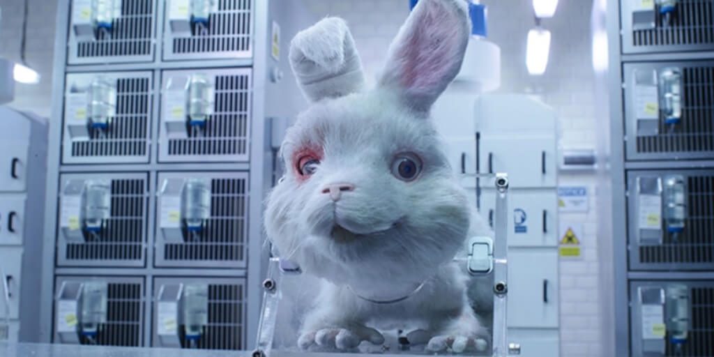 Save Ralph bags major award in Cannes for exposing the horror of cosmetic animal  testing | Totally Vegan Buzz