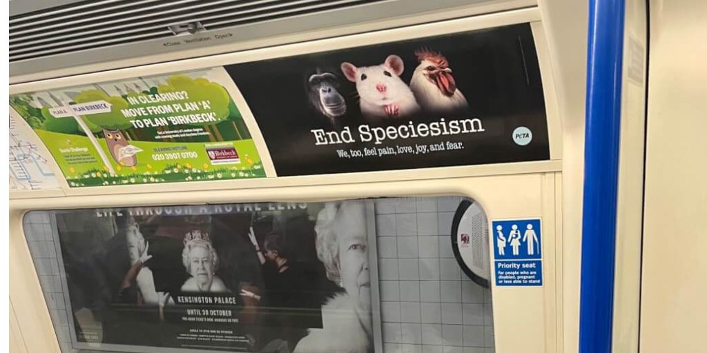 Massive anti-speciesism posters deck tube and train lines across London.