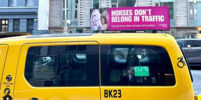 Funny Girl's Lea Michele campaigns against horse-drawn cruelty in New York taxi-top ads