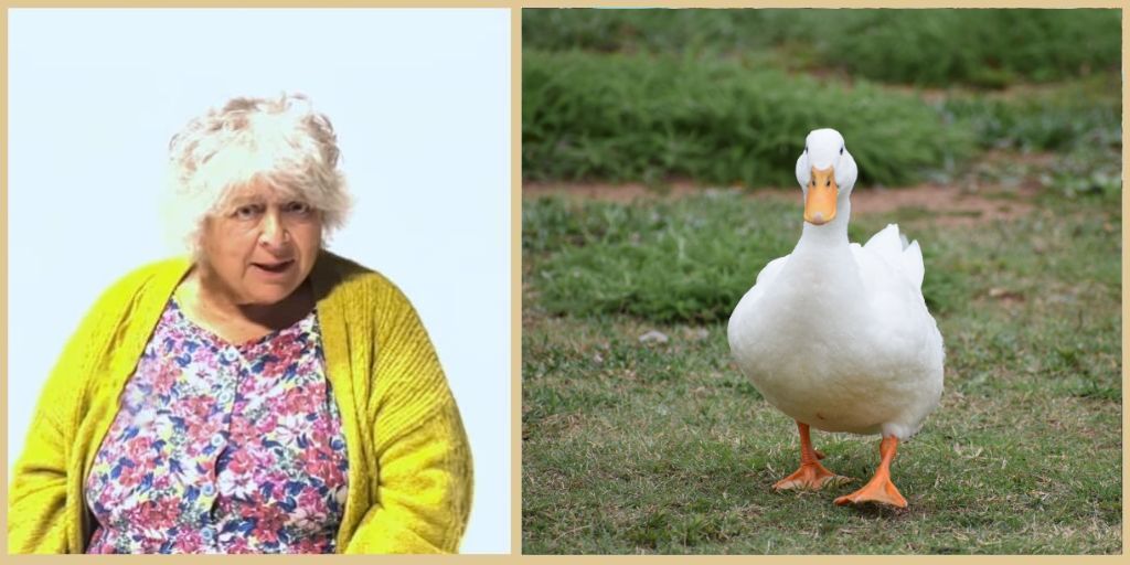 Miriam Margolyes and others call on PM Rishi Sunak to ban foie gras