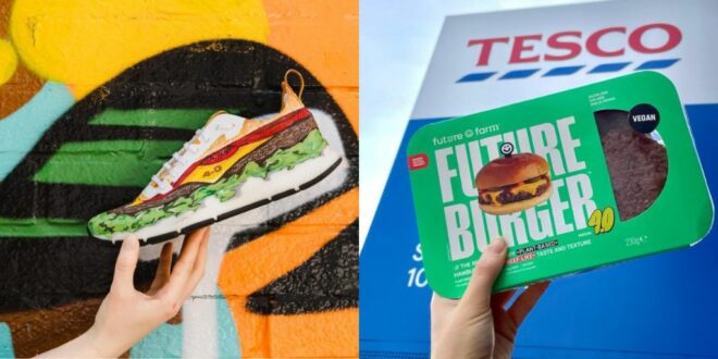 Fast food chain creates unique vegan ‘cheeseburger’ sneaker to promote plant-based living