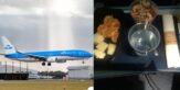 Vegan passenger livid after Dutch flight serves fruit and nuts on 7,400km flight