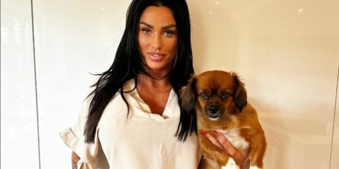 Katie Price under fire after seventh pet in her care dies